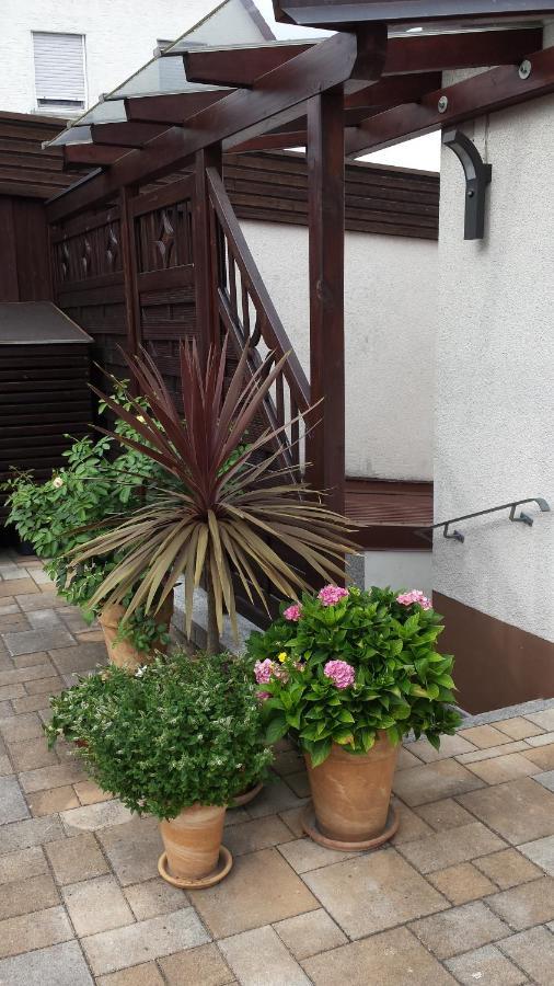 Fewo Hafner "Zuhause Mit Ausblick" シュナイッタッハ エクステリア 写真