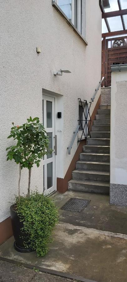 Fewo Hafner "Zuhause Mit Ausblick" シュナイッタッハ エクステリア 写真